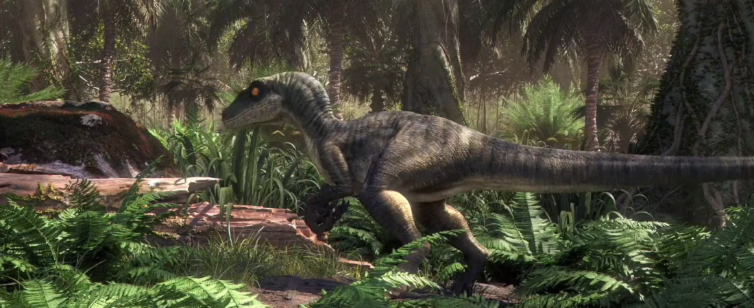 BTY4Z3C5CZFPDMKCW6LMNTCSZM