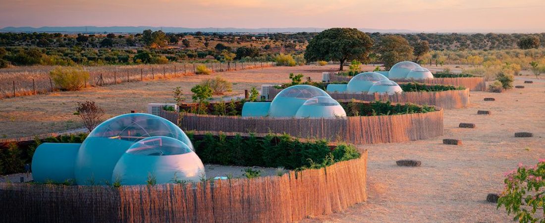 BURBUJAS-EN-EL-DESIERTO