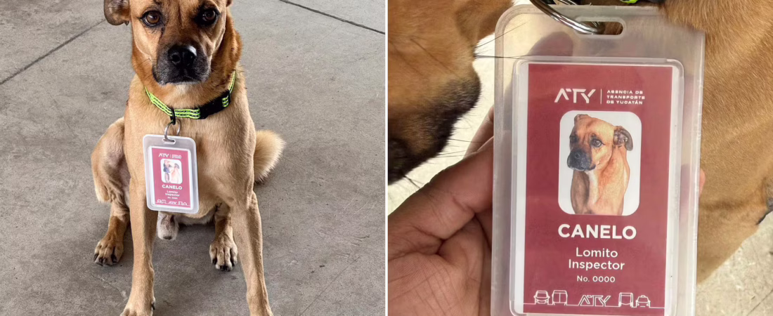 BWKAA7CQAZBLJDTDUNEBLJTQRM