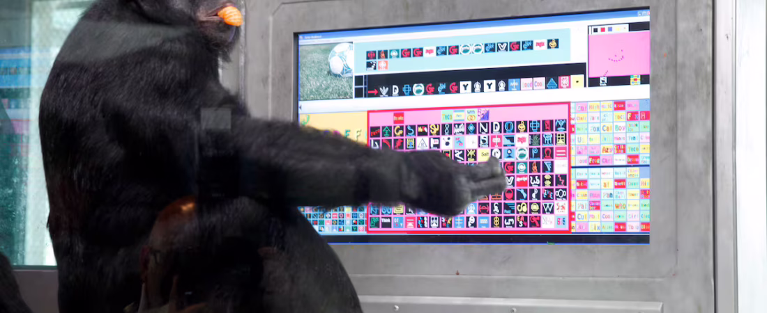 CEPI4YGKYJATPBEHFBG3ZIBRD4