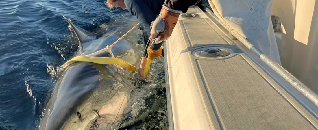 CEQDEAUKMRDPJMIZCG3EBY3EQY