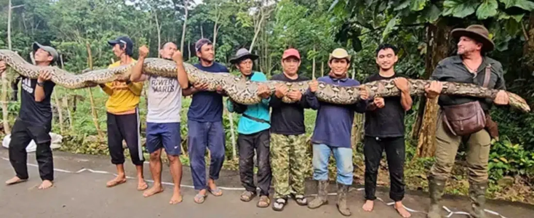 CISy7Juee_1300x655__1