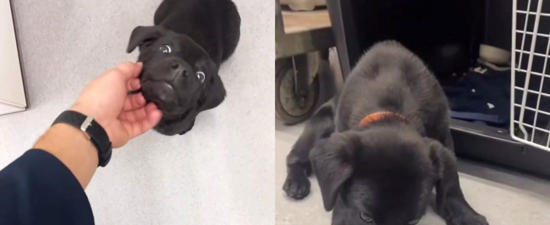 CJBmE-aW-_1200x630__1