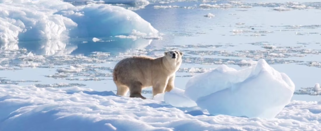 CJX6QSEMTBARPOOWTXJPKAK4YE