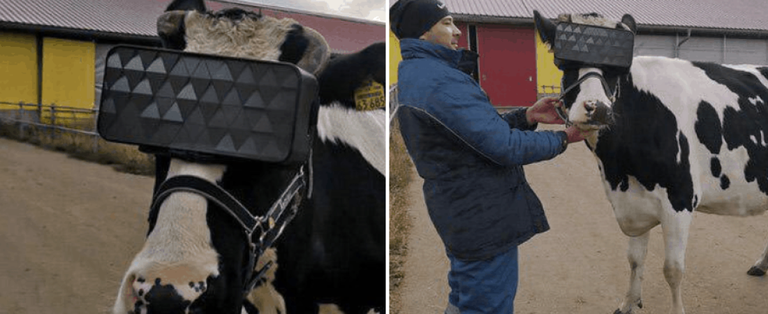 Captura de Pantalla 2019-11-27 a la(s) 08.50.27