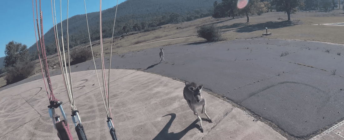 Captura-de-pantalla-2019-03-12-a-las-16.08.09