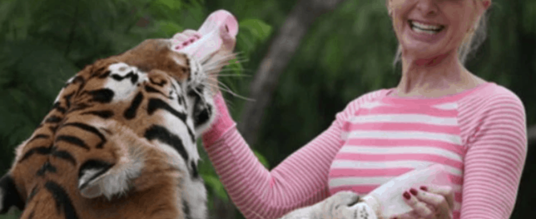 Captura de pantalla 2019-12-22 a la(s) 13.14.04