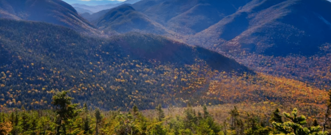 Captura-de-pantalla-2025-08-10-125501