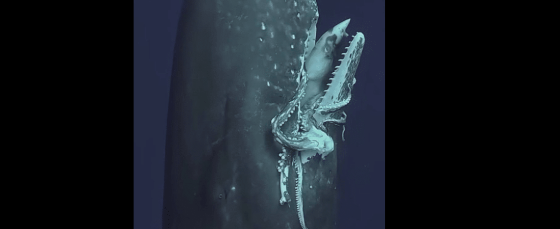 Captura de pantalla 2025-09-03 082915