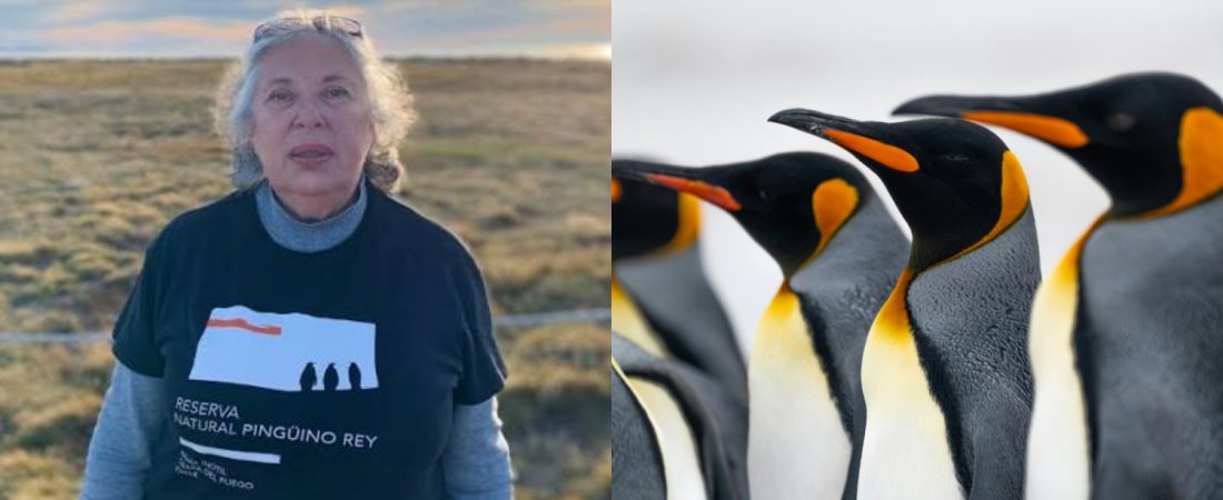 Cecilia Durán maestra chile pingüinos