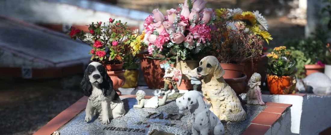 Cementerio-animales-Arganda-Rey_2390770925_29982602_1300x731