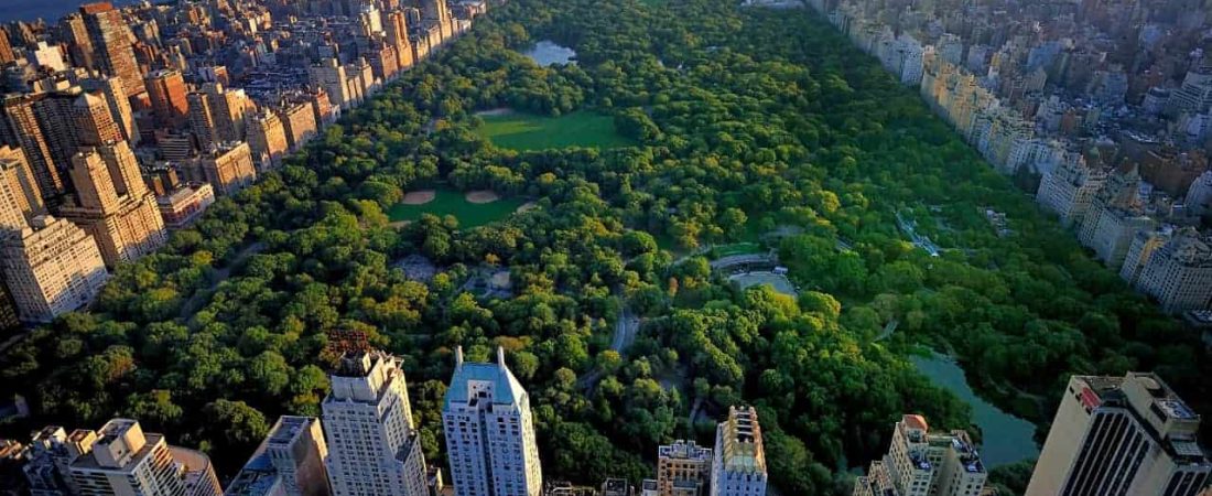 Recorrer el Central Park