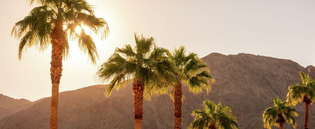 Ciudad-de-California-pide-a-turistas-canadienses-que-eviten-visitarla-intriper.jpg