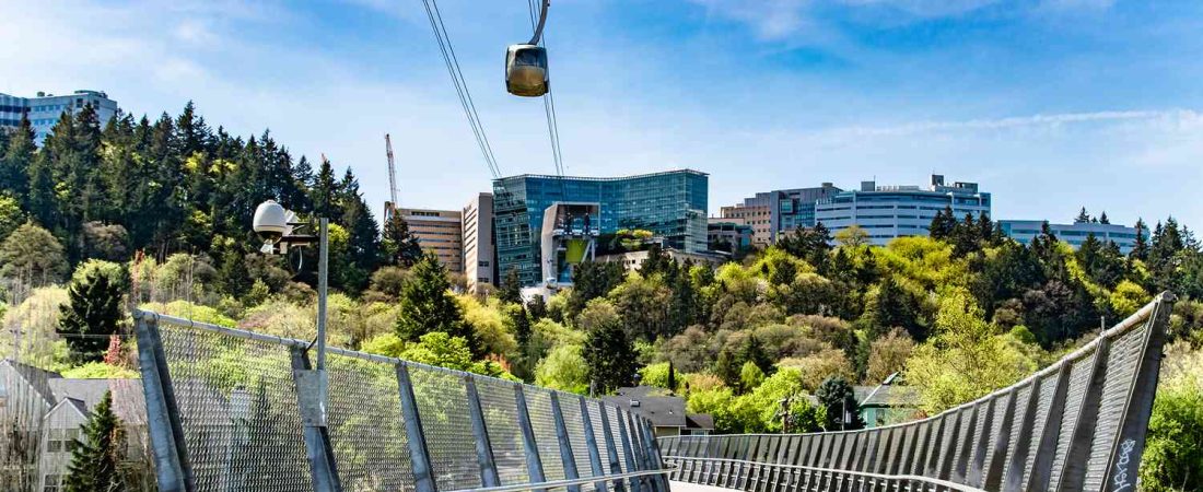 Ciudad-de-EE.UU_.-lidera-turismo-inclusivo-para-personas-con-sobrepeso-intriper.jpg