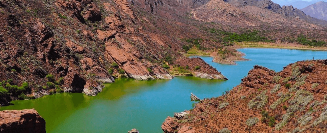 Cómo llegar a la laguna de Brealito, un paraíso natural de Salta situado a unos 20 kilómetros de la Ruta Nacional 40 1