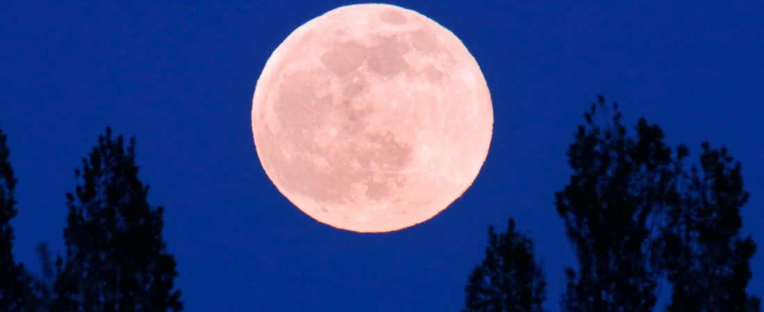 Como-ver-la-microluna-rosa-completa-este-fin-de-semana-intriper.jpg