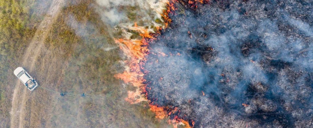 Continúan los incendios en uno de los mayores humedales del mundo con pérdidas incalculables para la biodiversidad