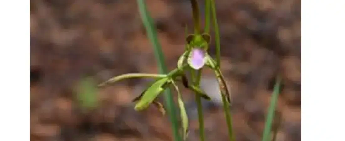 Copia-de-CABECERA-NUEVA-DIMENSION-2025-07-23T130624.386