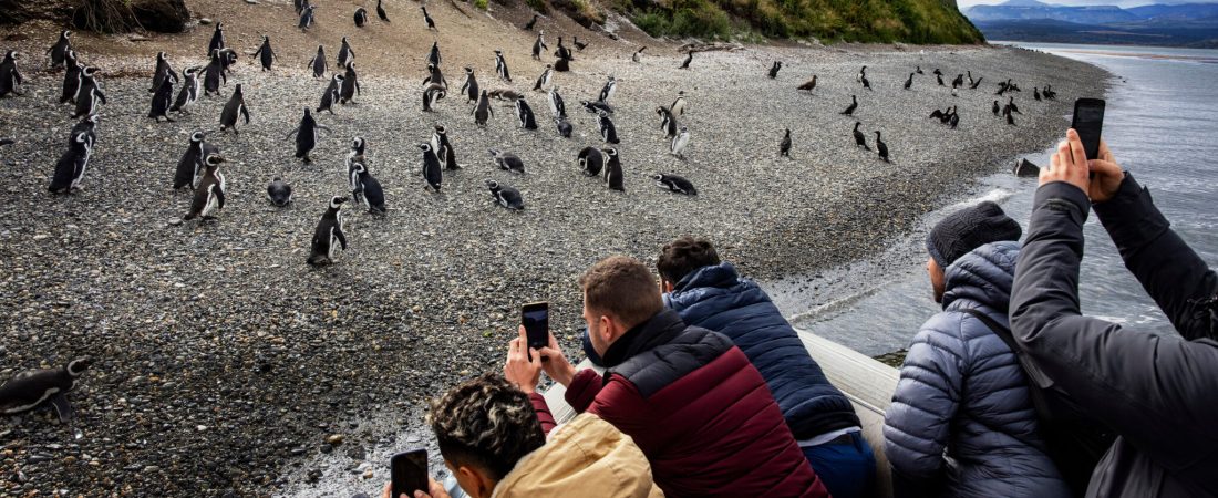 Crecen-cruceros-a-la-Antartida-y-colapsa-Ushuaia-Argentina-intriper.jpg