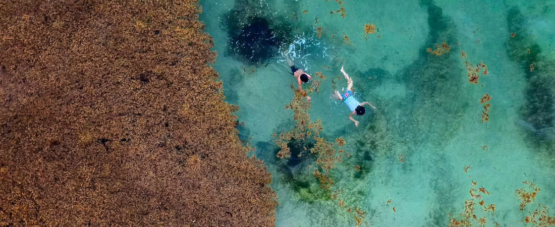 D2M6HM4Q7FHZTEJEXGUUPNYTOA