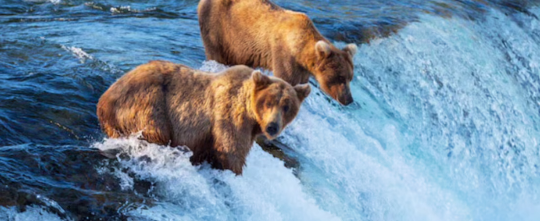 D5GOHC22RFFKXDM2HTRERPMVNA