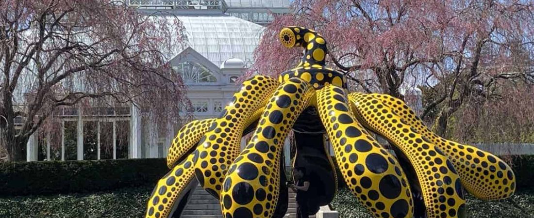 KUSAMA: Cosmic Nature