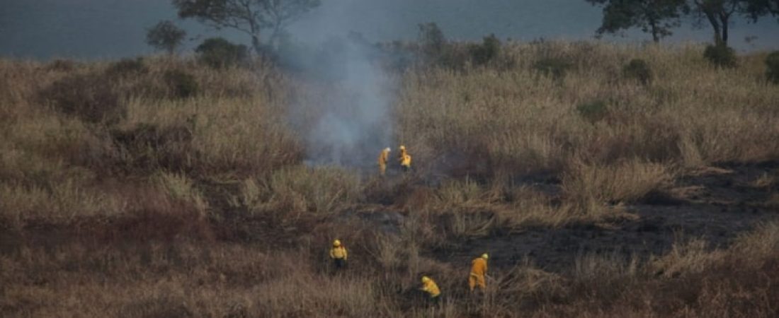 Declaran emergencia ambiental en el Delta del Paraná ante un alto registro de quema de pastizales 1