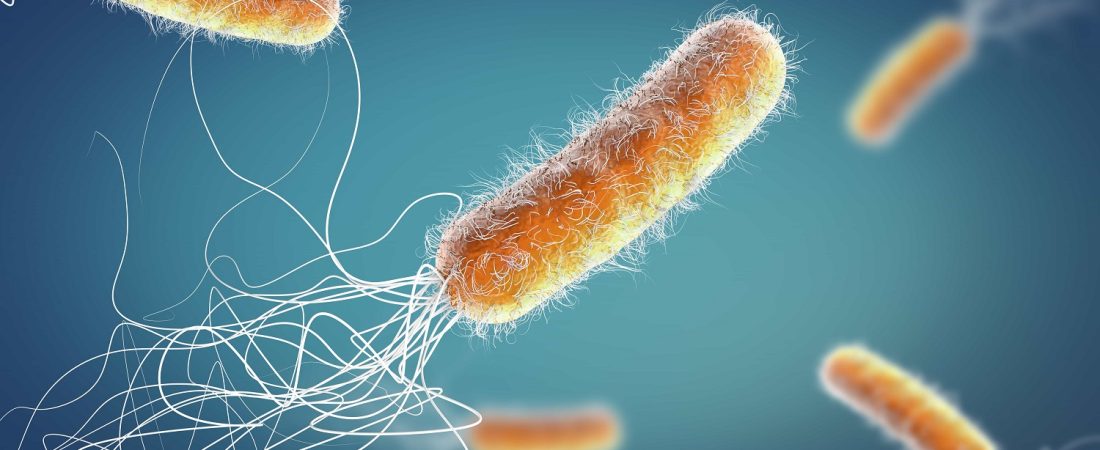 Depositphotos_330191676_XL-min (1)