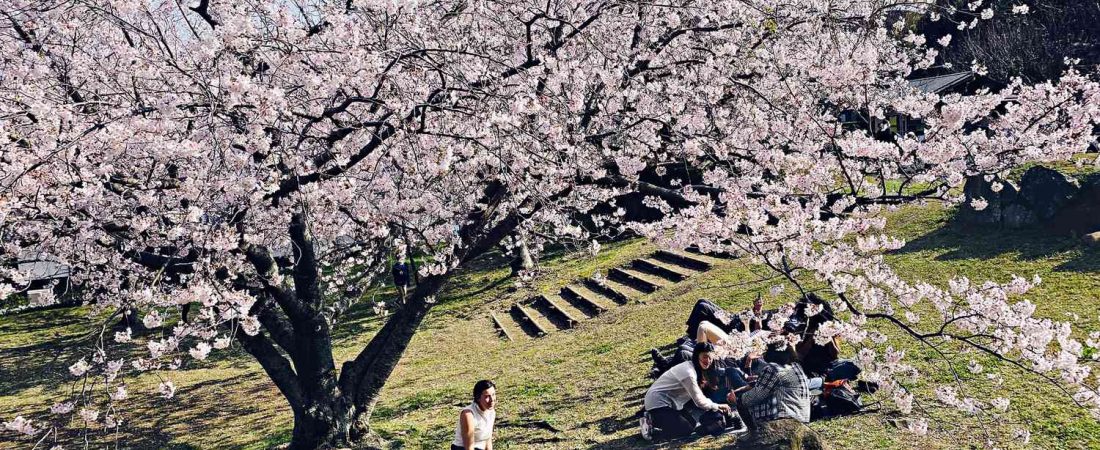 Descubre-las-cuatro-estaciones-de-Japon-en-este-retiro-culinario-intriper.jpg