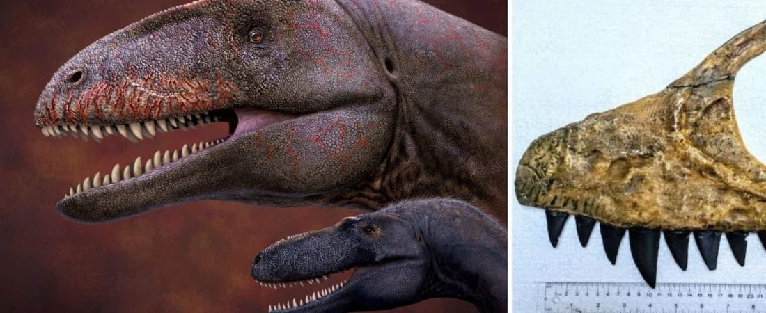 Descubren los restos de un dinosaurio mucho más temible que el T-Rex