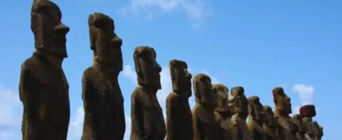 Diseno-sin-titulo-15