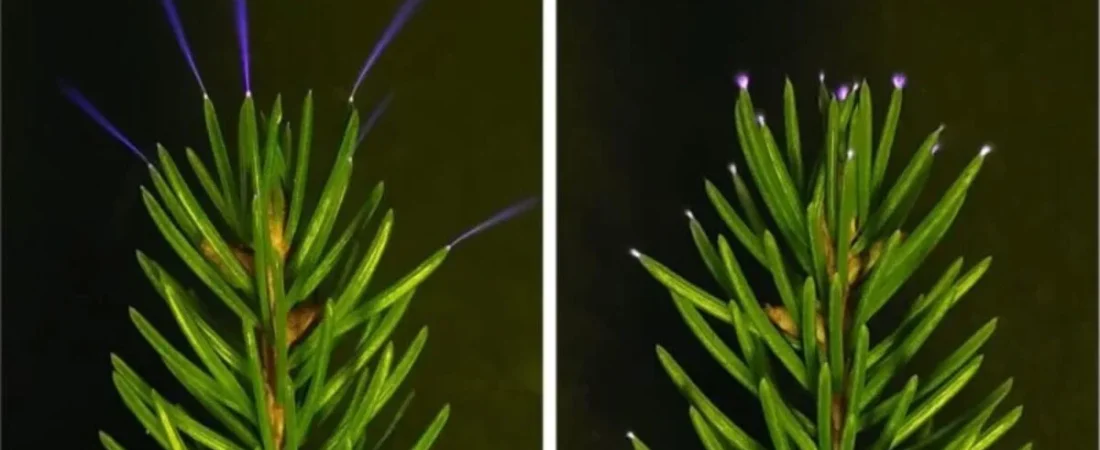 Diseno-sin-titulo-2026-02-26T171659.464-1200x675