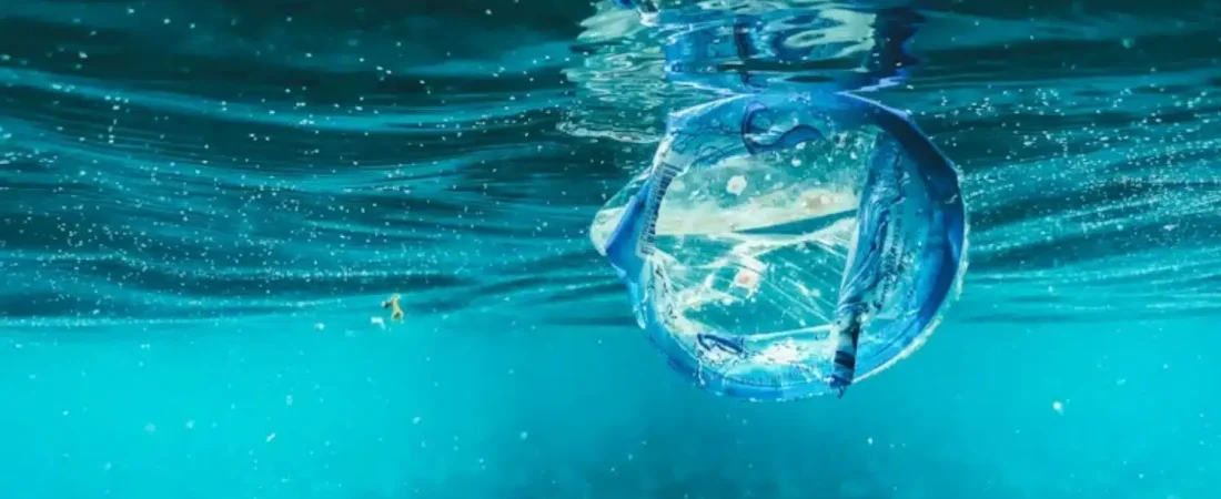 Diseno-sin-titulo-22-14