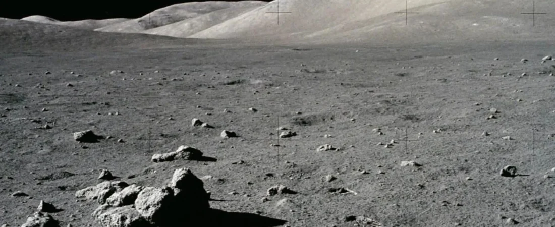 Diseno-sin-titulo-40-6