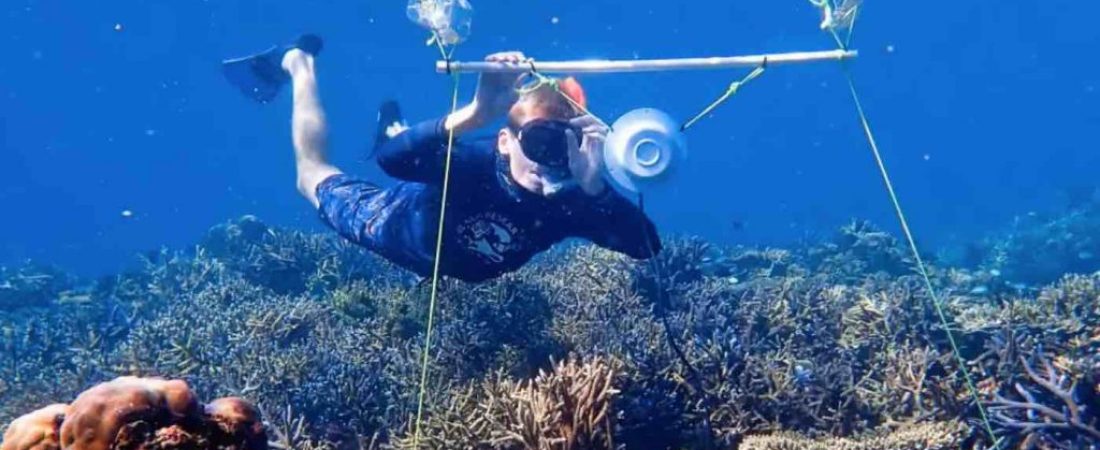 Diver-With-Acoustic-Enrichment-Coral-Speaker-Harry-Harding-University-of-Bristol-1024x633
