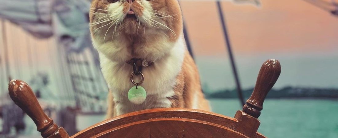 E4vwoSXCe_1200x630__1