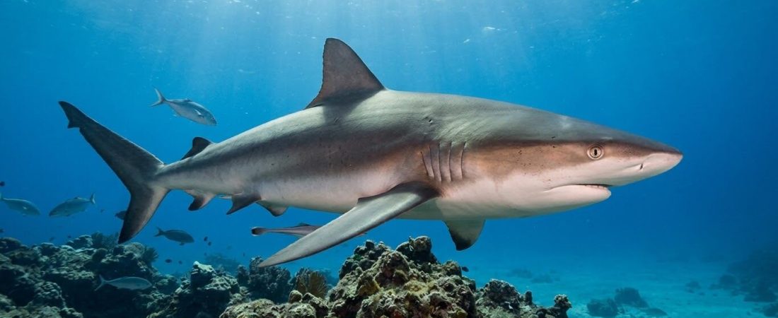 EMQSJR2KPFCZ5CTHCTPR5L5P3Q