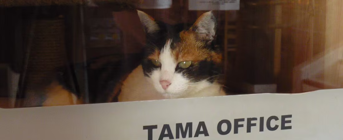 EN5PNCONFRFALEQBSCHZUHY6XI