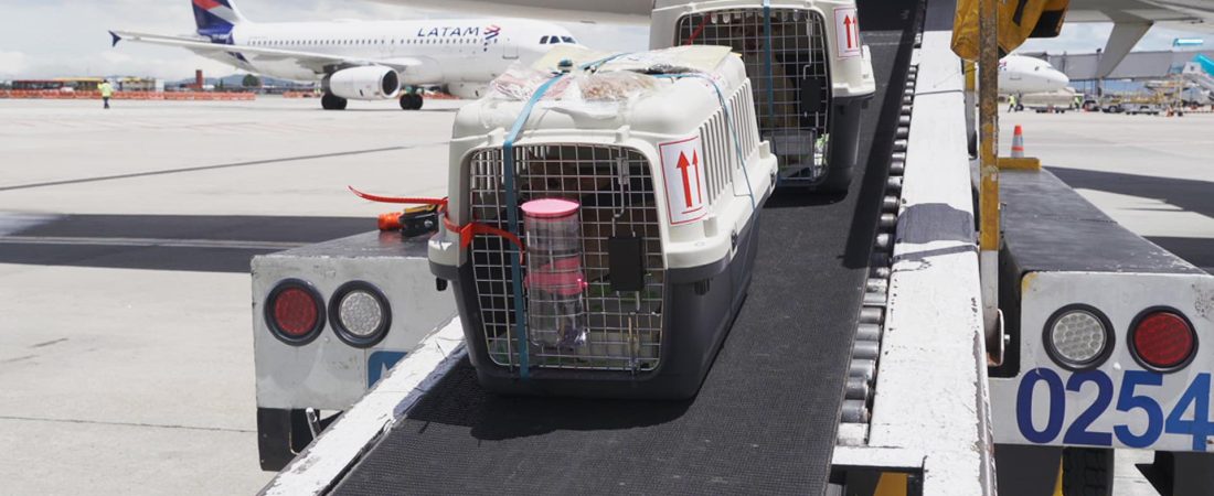 EZU23ILN25FNVMSTAKI3J3TVZE (1)