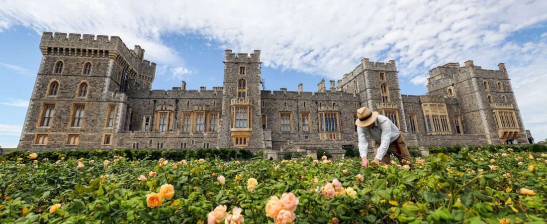 El Castillo de Windsor abre al público sus jardines por primera vez en 40 años 2