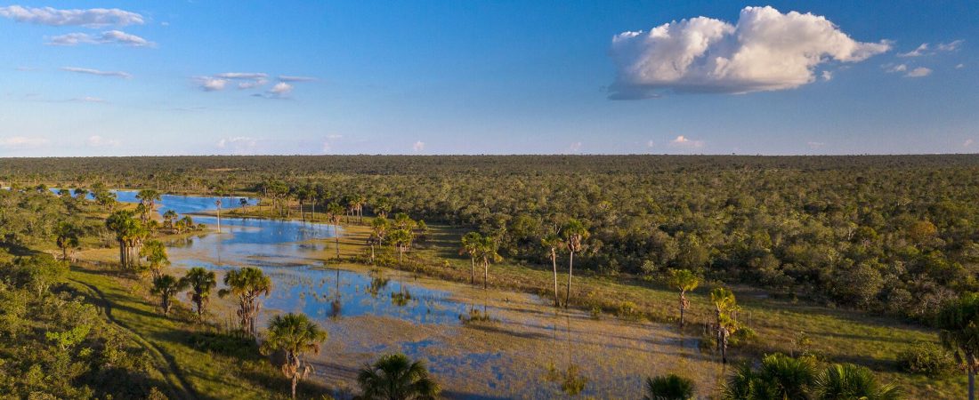 El-Cerrado-brasileño-turismo-National-Geographic-1