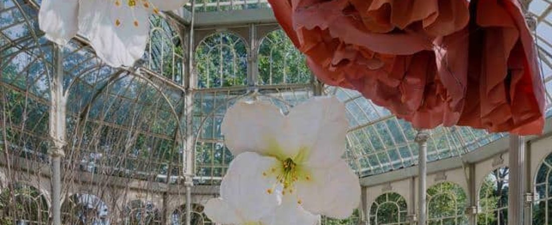 El Palacio de Cristal del Parque del Retiro en Madrid se llena de flores ante un nuevo proyecto del Museo Reina Sofía 1