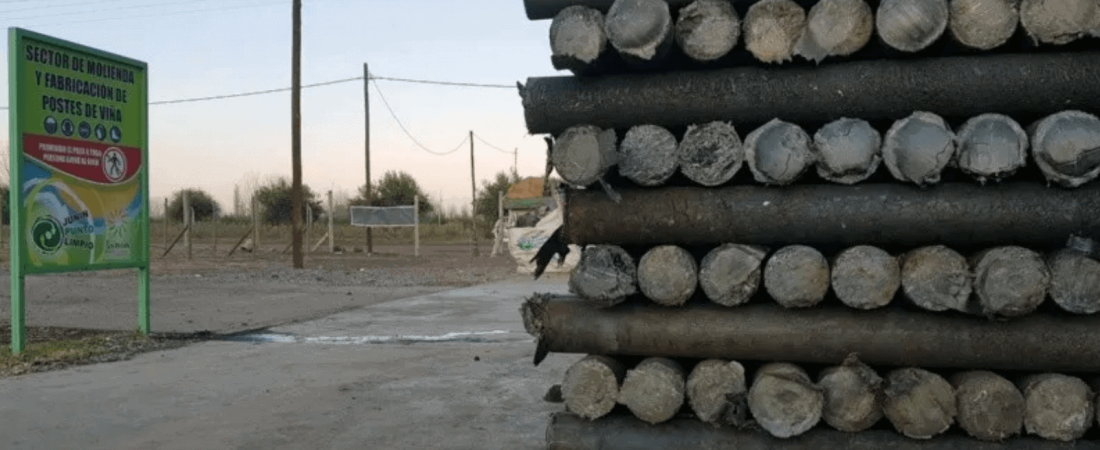 En Mendoza transforman residuos plásticos en postes para evitar la tala de más de un millón de árboles 1