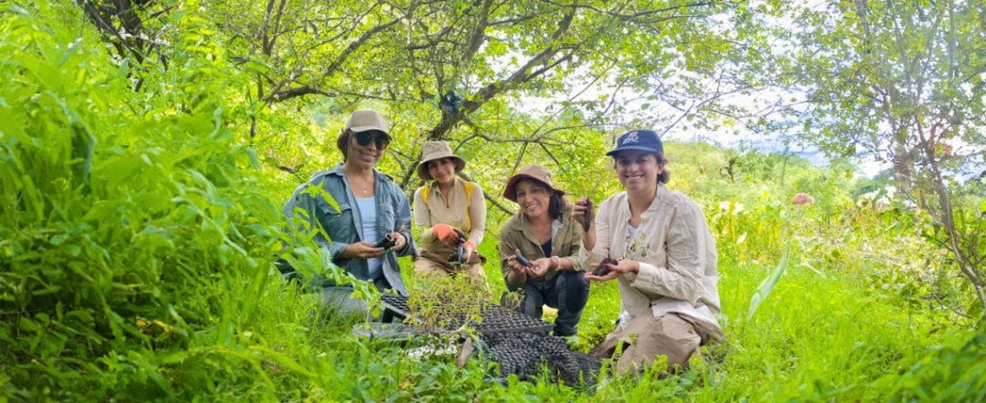 Esta ONG rescata bosques andinos en Argentina y países vecinos impulsando la restauración de ecosistemas a gran escala-1