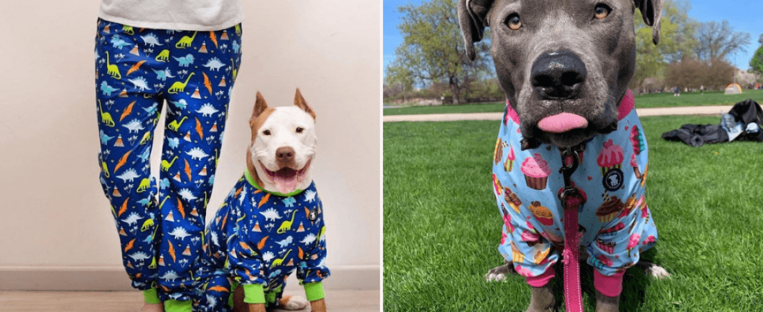 Esta mujer diseña coloridos pijamas para perros para erradicar el estigma contra los pitbulls-7