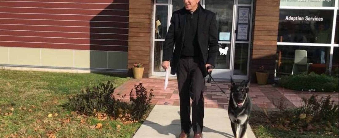 Estados Unidos Con el triunfo de Joe Biden, 'Major' se convierte en el primer perro adoptado en vivir en la Casa Blanca 1