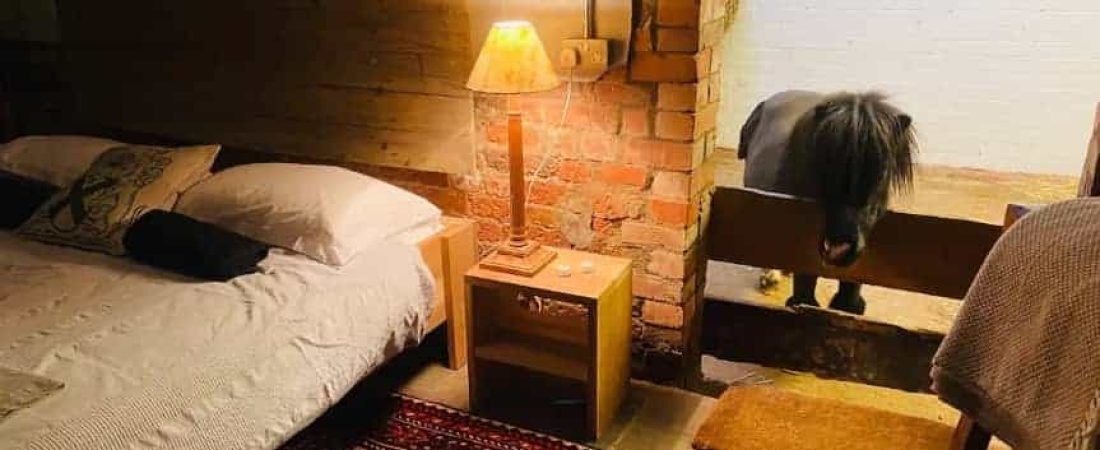 Este atractivo Airbnb en una granja del siglo XVII en Nottinghamshire ofrece la compañía nocturna de un pony Shetland en miniatura