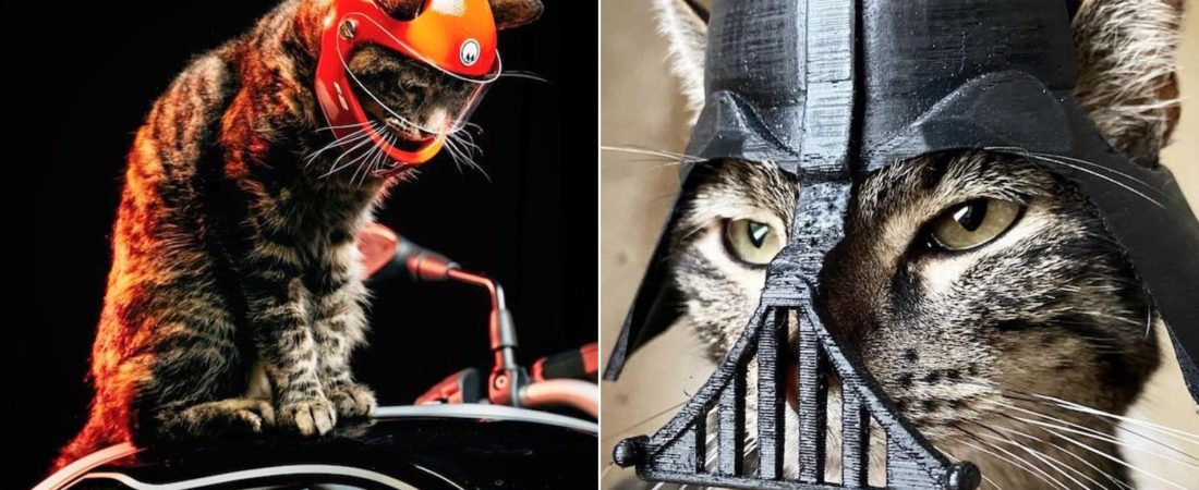 Este hombre amante de los animales crea tiernos cascos impresos en 3D para su gato