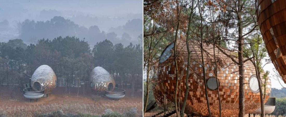 Este hotel en Shanghái ha diseñado cuatro cabañas con formas de semilla para el entorno rural de los bosque en Jiangxi