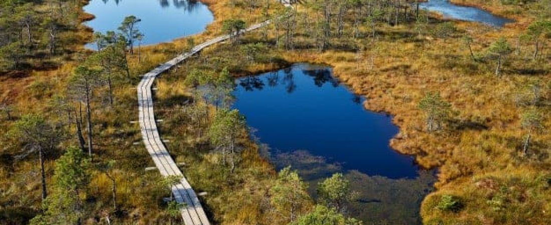 Este nuevo sendero de 1.330 millas unirá los bosques y los parques nacionales de Lituania, Estonia y Letonia, permitiendo explorar a pie la región del Báltico 2